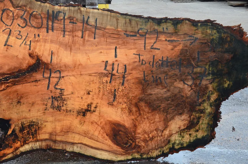 030119-14 Big Leaf Maple Slab