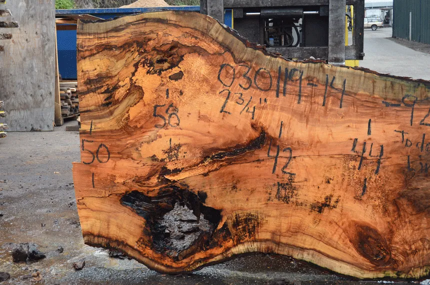 030119-14 Big Leaf Maple Slab