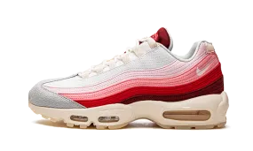 Air Max 95 Anatomy of Air