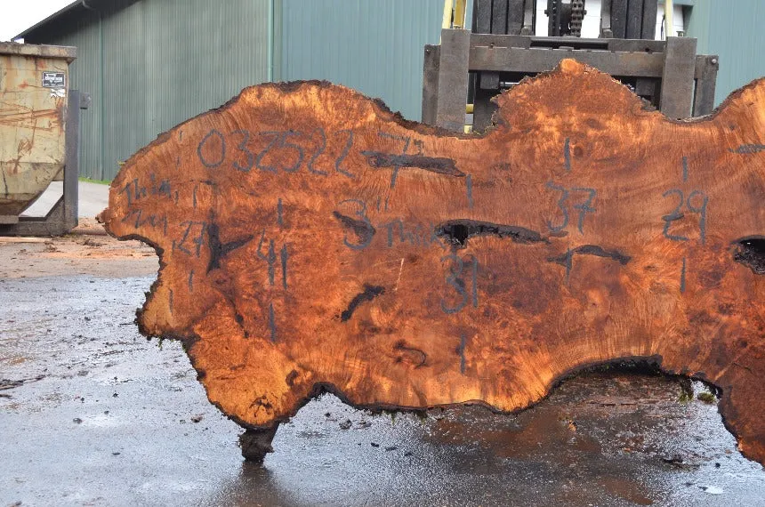 Big Leaf Maple Slab 032522-07