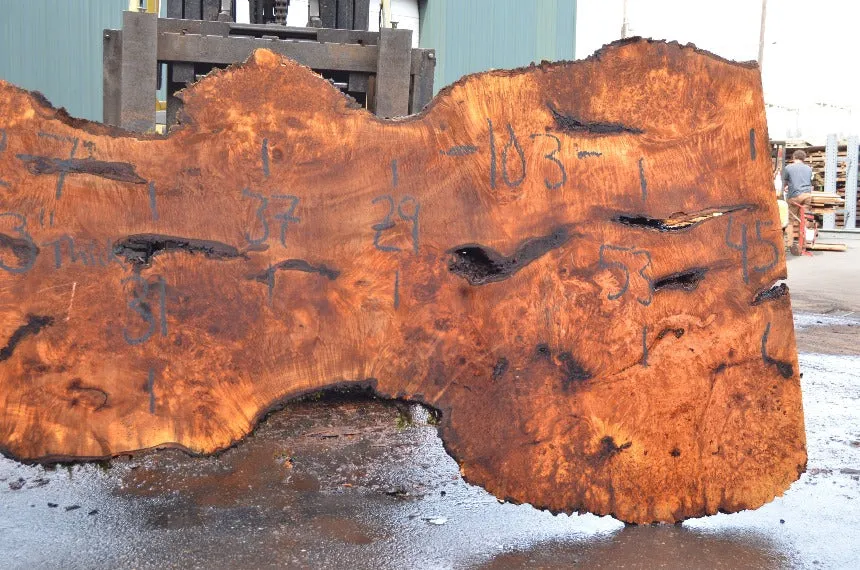 Big Leaf Maple Slab 032522-07