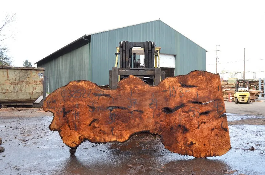 Big Leaf Maple Slab 032522-07