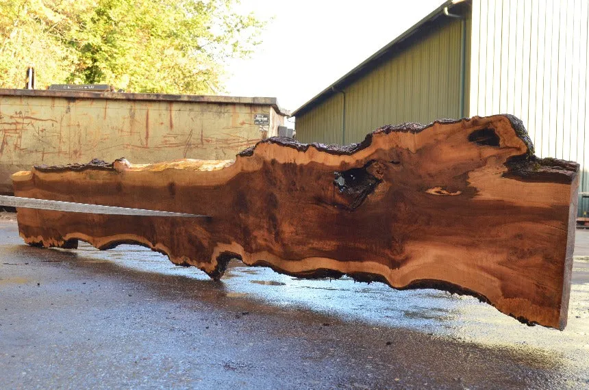 Big Leaf Maple Slab 091322-02