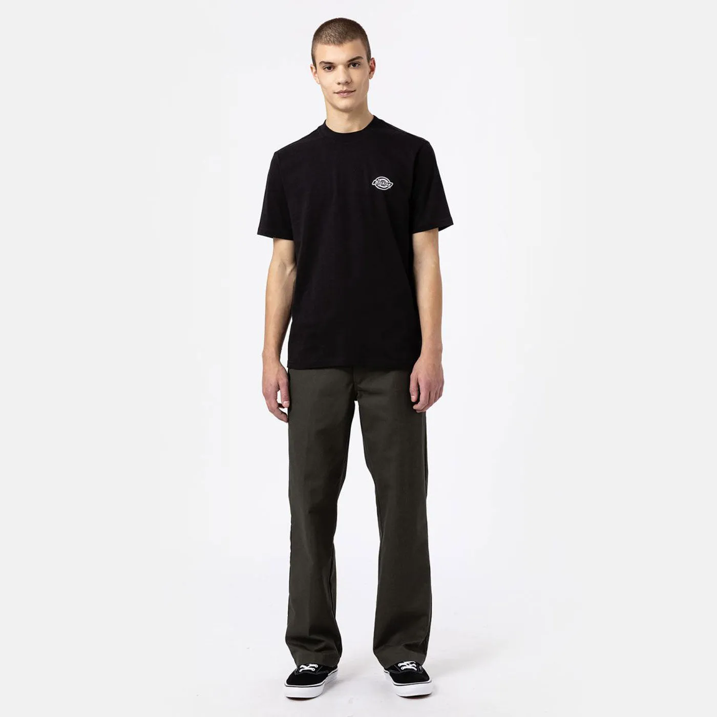 Dickies T-Shirt Holtville  Black