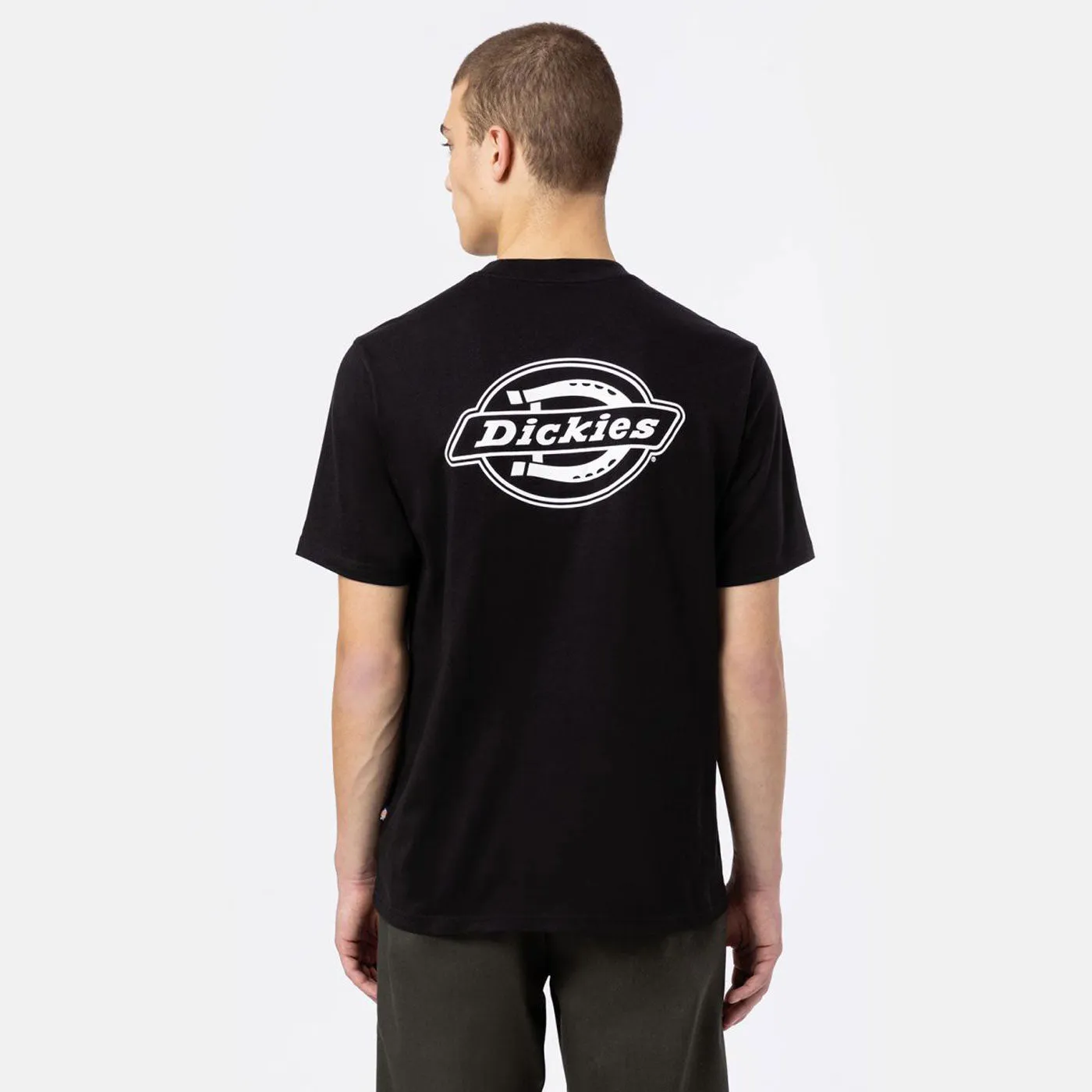 Dickies T-Shirt Holtville  Black