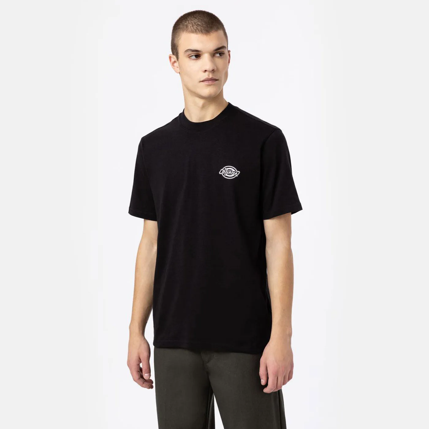 Dickies T-Shirt Holtville  Black