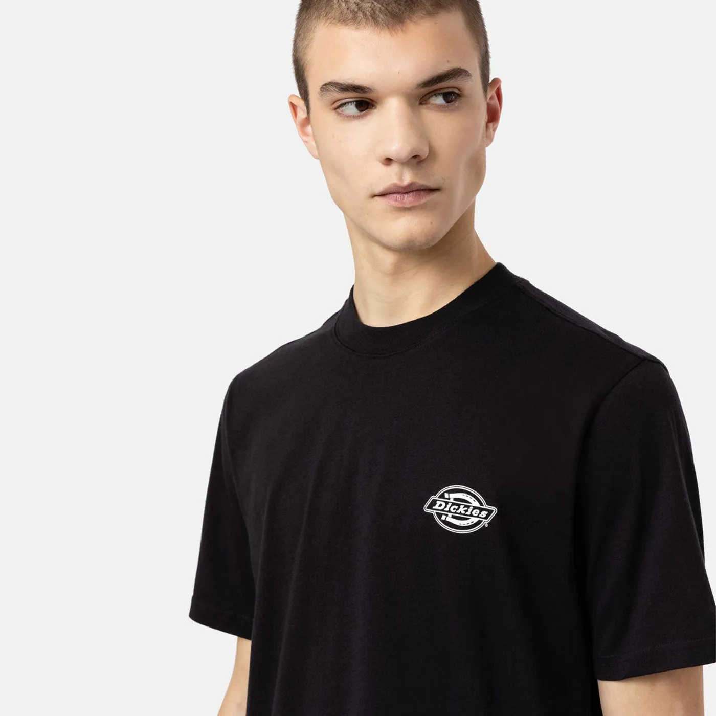 Dickies T-Shirt Holtville  Black