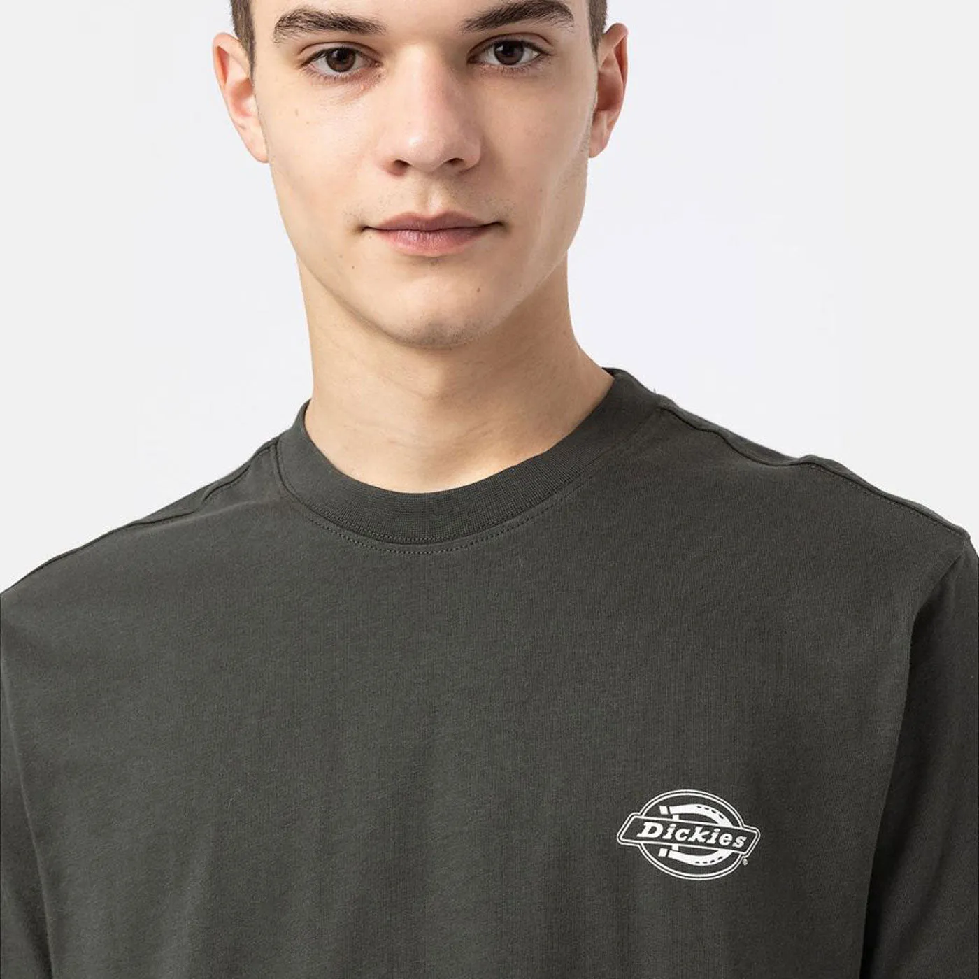 Dickies T-Shirt Holtville Olive Green