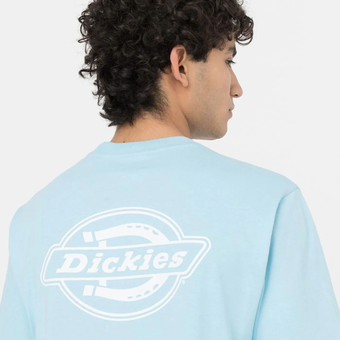 Dickies T-Shirt Holtville Sky Blue