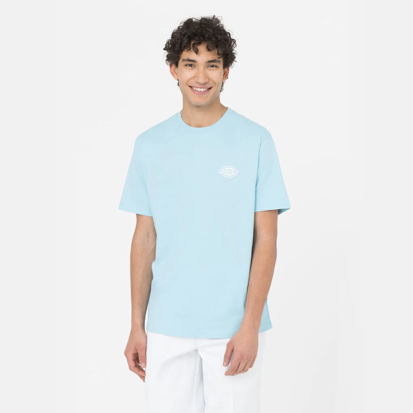 Dickies T-Shirt Holtville Sky Blue