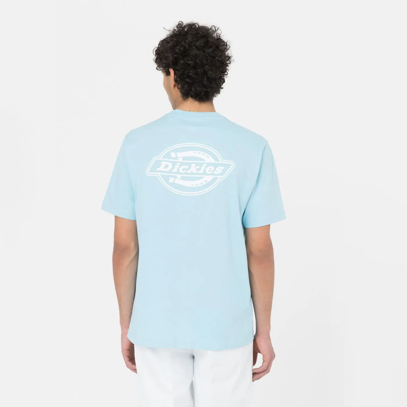 Dickies T-Shirt Holtville Sky Blue