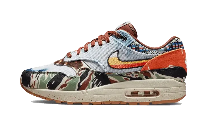 Nike Air Max 1 SP Concepts Heavy