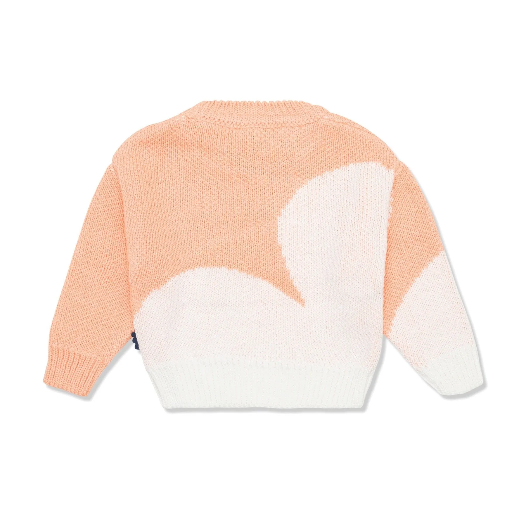 Terracoral Cloud Kid Sweater