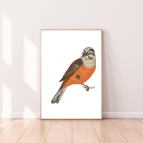 Wall Art Bird Orange